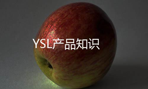 YSL产品知识